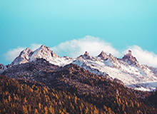 皇冠体育-上港vs国安：浩克先发阿瑙替补 奥斯卡比埃拉缺阵