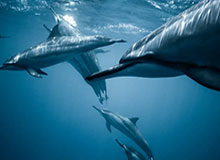 卡纳瓦罗不满球队表现：始终未能从失利阴影中走出